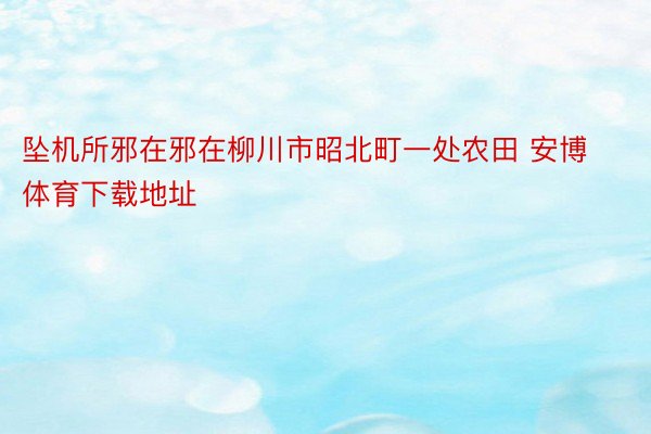 坠机所邪在邪在柳川市昭北町一处农田 安博体育下载地址